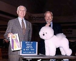 Bichon Frise standing on a table in front of two people. The Person on the Right is holding a ribbon and the person to the left is holding a microphone
