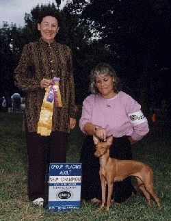 A Cirneco Dell'Etna dog is being posed by a lady who is behind it with another ladyholding a yellow and purple ribbon at a dog show