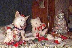 A pure white Siberian Husky is laying across a rug, its mouth is open, its eyes are closed and its tongue is sticking out. The Husky has a red ribbon on its head, there is a gold garland around it and there are wires on its side. There is a white teddy bear across from it.