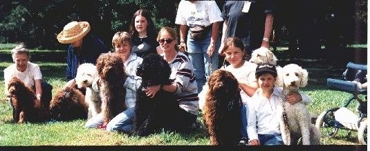 Australian Labradoodles are sitting with there owners in a field