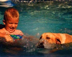 A boy is kicking the blue waters of a swimming pool and swimming next to him is a yellow Labrador Retriever dog.