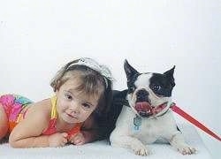 A baby in a colorful onesie is laying for a photo next to a black and white Boston Terrier. The Boston Terrier has its mouth open and tongue curled out. It is looking to the left.