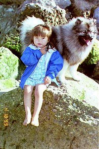 A toddler sized girl in a blue jacket is sitting on a large bolder-sized rock in front of a panting Keeshond.