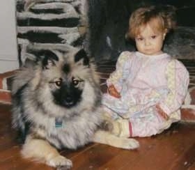 A Keeshond puppy is laying in front of a little girl in front of a fireplace