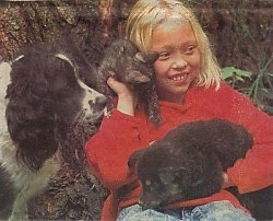 A girl in a red shirt has a puppy in her lap, a kitten on her shoulder and she is looking to the right. There is a black and white dog to the left of her.