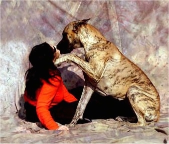 A lady in a red shirt is sitting in front of a brindle Great Dane. The Great Dane has a paw up at the ladies face and the lady is kissing the Great Dane