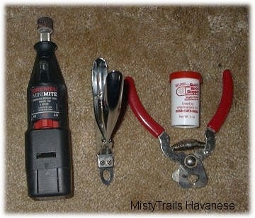 Top down view of tools on a carpet to trim the nails of a dog.
