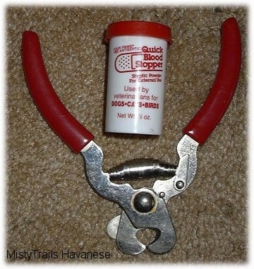 Top down view of a container to stop bleeding of a dog's nails. Under the container is a tool to cut the nails.