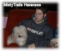 A fluffy haired dog is standing up against the leg of a person in a Split hoodie and the person is looking down at the dog.