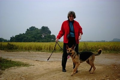 A black and tan Kunming Dog is standing in dirt and preparing to walk down the path. There is a lady wearing red behind it holding the leash