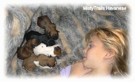 A blonde-haired girl is laying on a rug across from five tiny newborn puppies.