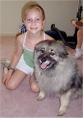 A girl in a green shirt is sitting next to a Keeshond. The dog looks happy with its tongue showing