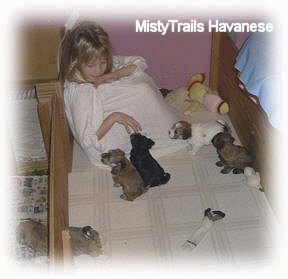 A girl is sitting in the back of a whelping box and four puppies are sitting and standing in front of her.