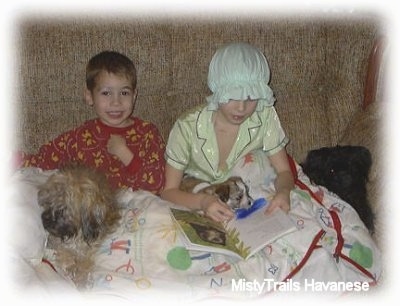 Two kids, a boy and a girl, are sitting on a couch with a couple of puppies.