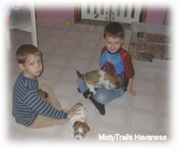 Two boys are sitting crosslegged on a white linoleum floor. One has a puppy in his lap and the other is petting a puppy standing next to him.