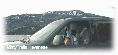 A blonde-haired girl holding a little puppy and a small boy are sitting on the passenger seat of a car