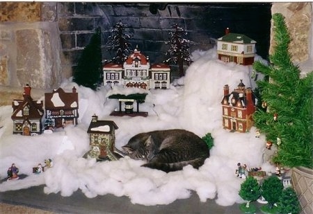 Shaggy the cat is sleeping on a model Christmas town