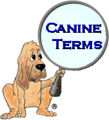 A drawn brown hound looking dog holding a magnifying glass sign that says 'Canine Terms'