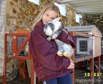 A blonde haired girl is hugging a huge black with white Rabbit.