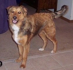 Dakotah Shepherd is standing on a rug. It looks like he is smiling in this picture