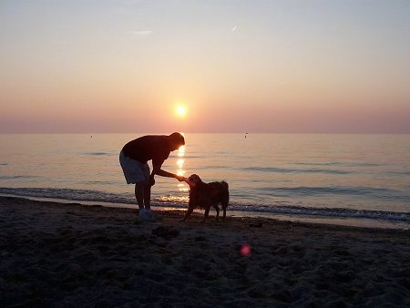 A Golden Retriever is giving a frisbee to a man on a beach in front of water with the sun setting behind them.