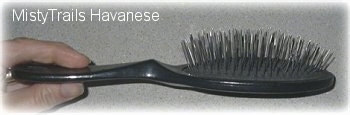 Close up side view of a Pin Brush