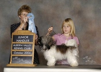 A blonde haired girl is standing behind a table and she is holding the leash of a dog that is posing on the table. To the left of them is a lady holding a sky blue ribbon.