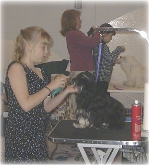 In the foreground there is a blonde-haired lady standing in front of a table with a black with white dog sitting on it and she is grooming the dog. In the background there is a lady tieing the hair of a girl in a black and white jacket who is grooming a fluffy white dog.