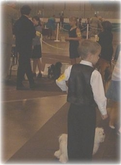 The back of a boy that is standing on a rug and there is a white dog standing in front of it. There is a line of children with dogs next to them and a man is awarding them medals.