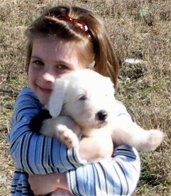 Front view - A child is standing outside in grass with a smile on her face holding a white Old English Sheepdog puppy belly out in her arms.