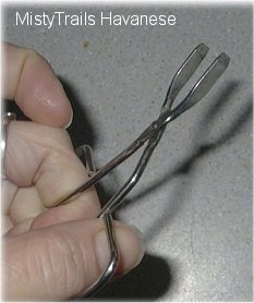 A person is holding a plucker tool that looks like silver blunt tweezers in their hand.