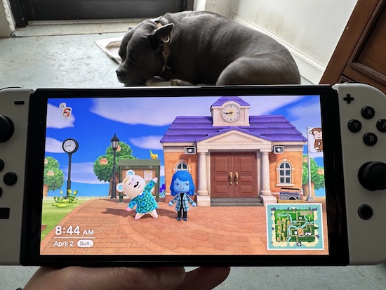 Nintendo Switch game with Sharon and Tutu the white bear in front of the Message Board