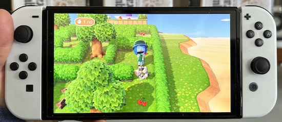 The game character Sharon using a power-up to bust a rock with a shovel so she can cross into a blocked path