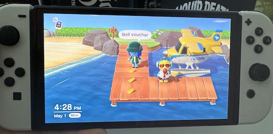 The game character Sharon looking down at a bell voucher on a wooden dock where the dodo bird is waiting next to a private plane