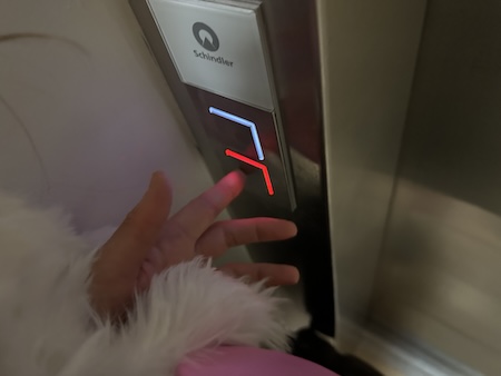 A person pushing an elevator button while holding a fluffy white puppy