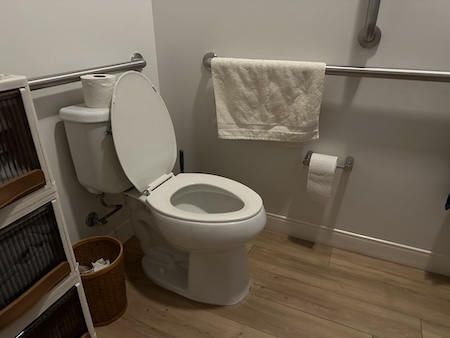 A white toilet in a bathroom