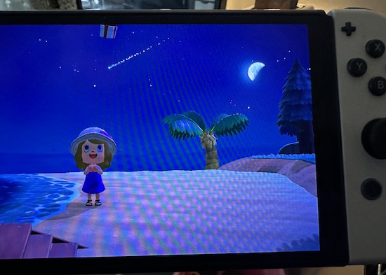 The game character Sharon wishing on a shooting star as a present floats by her head