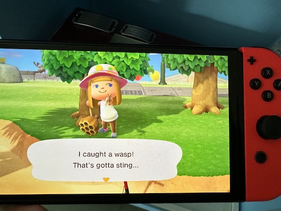 The charactor Sharon in an animal crossing game wearing a hat