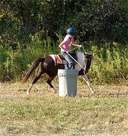 A girl in a pink shirt and a blue riding helmet is riding a brown and white paint pony around a gray trashcan being used as a barrel in a field.