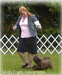 A lady in a pink shirt is looking down at a small, long haired, chocolate brown with white dog that is running across a grass surface