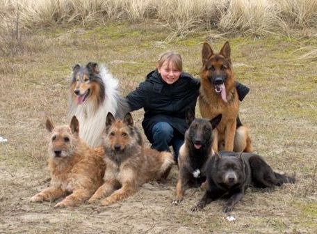 A girl in a long black coat is surrounded by a pack of six dogs.