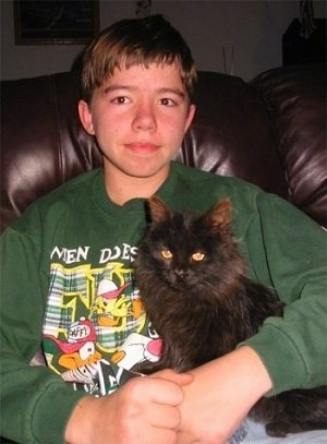 the Miniature Cat issitting in the lap of a boy who is sitting in a leather recliner.
