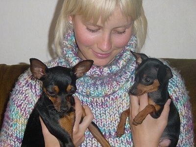 A lady with blonde hair and a knit sweater is holding up two small black and tan Prazsky Krysarik puppies