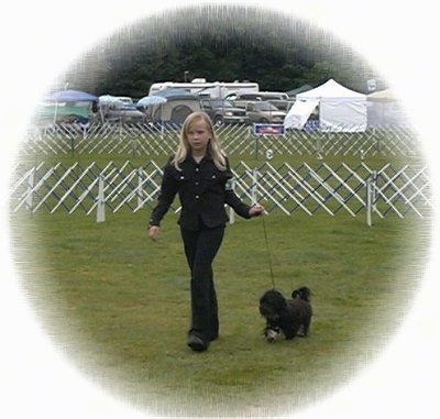 A blonde-haired girl is walking a black with white dog across an enclosed field at a dog show.