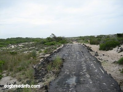 An Old destroyed Asphalt Road