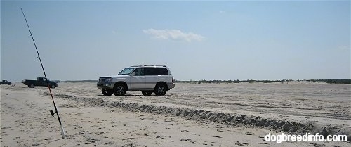 Two Cars are parked on the beach of Assateague