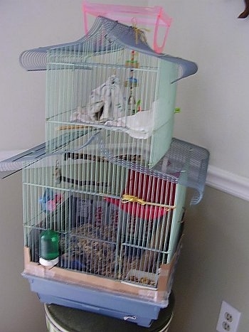 A three story rat cage is placed on top of a stool.