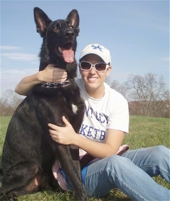 A black with a tuft of white German Shepherd is sitting in a field next to a girl wearing a bunch of University of Kentucky gear