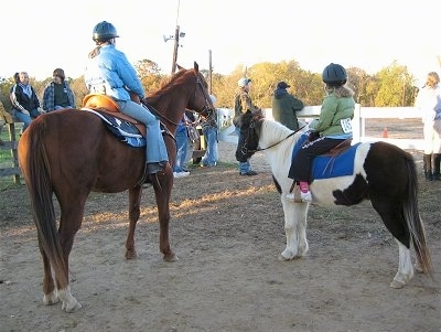 The back of a brown with white Horse and the back of a white and brown Paint Pony are standing in dirt and they each have a person on their backs at a western horse rodeo.