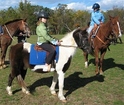 The right side of a brown and white Paint Pony that is standing in grass with a girl in a green coat sitting on her back. To the right of them is a brown with white Horse that has a girl in a blue coat sitting on it at a western horse rodeo.